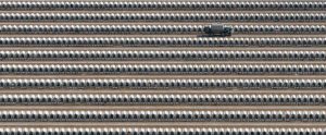rows of veal calves aerial