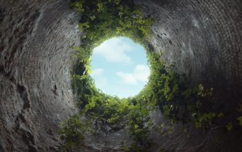 rabbit hole from below