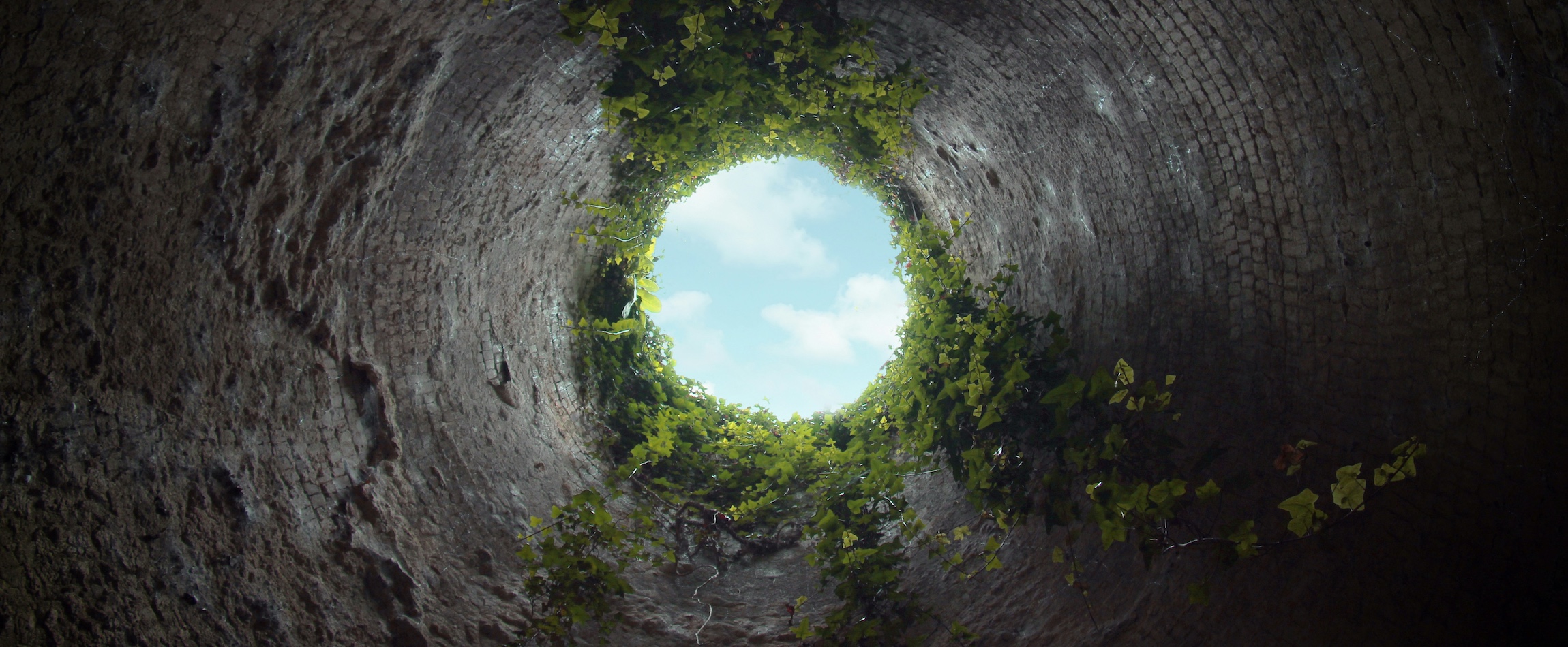 rabbit hole from below