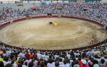 crowd watching bullfight in arena Madrid Spain